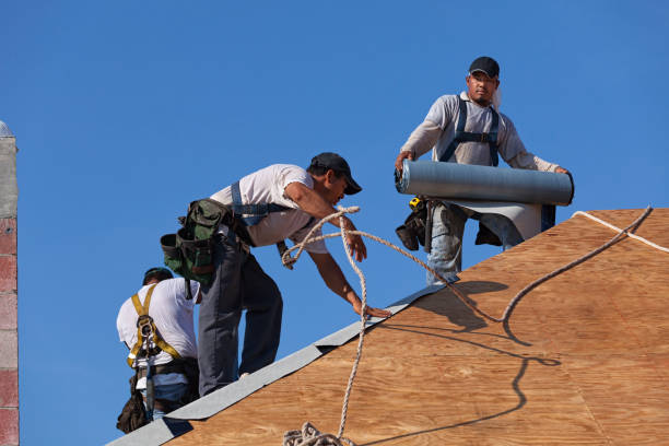 Best Roof Gutter Cleaning  in Woodworth, OH