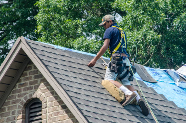 Best Metal Roofing Contractor  in Woodworth, OH